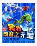 網遊之寵物天堂