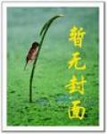超級少爺