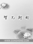 龍珠之拿帕