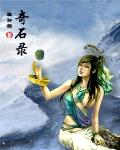 奇石錄