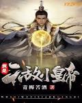 我是無敵小皇帝