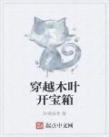 穿越木葉開寶箱