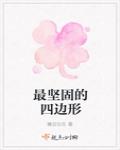 最堅固的四邊形